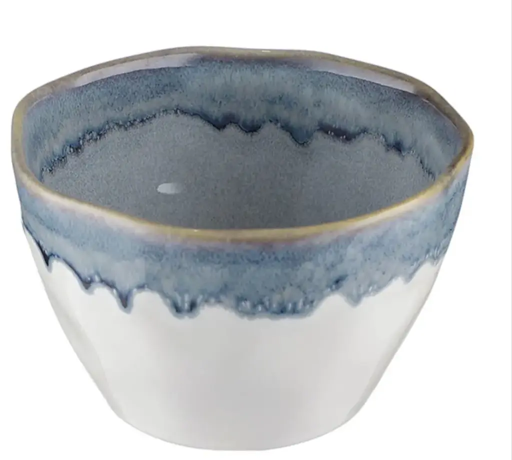 Bowl Azul Haus 